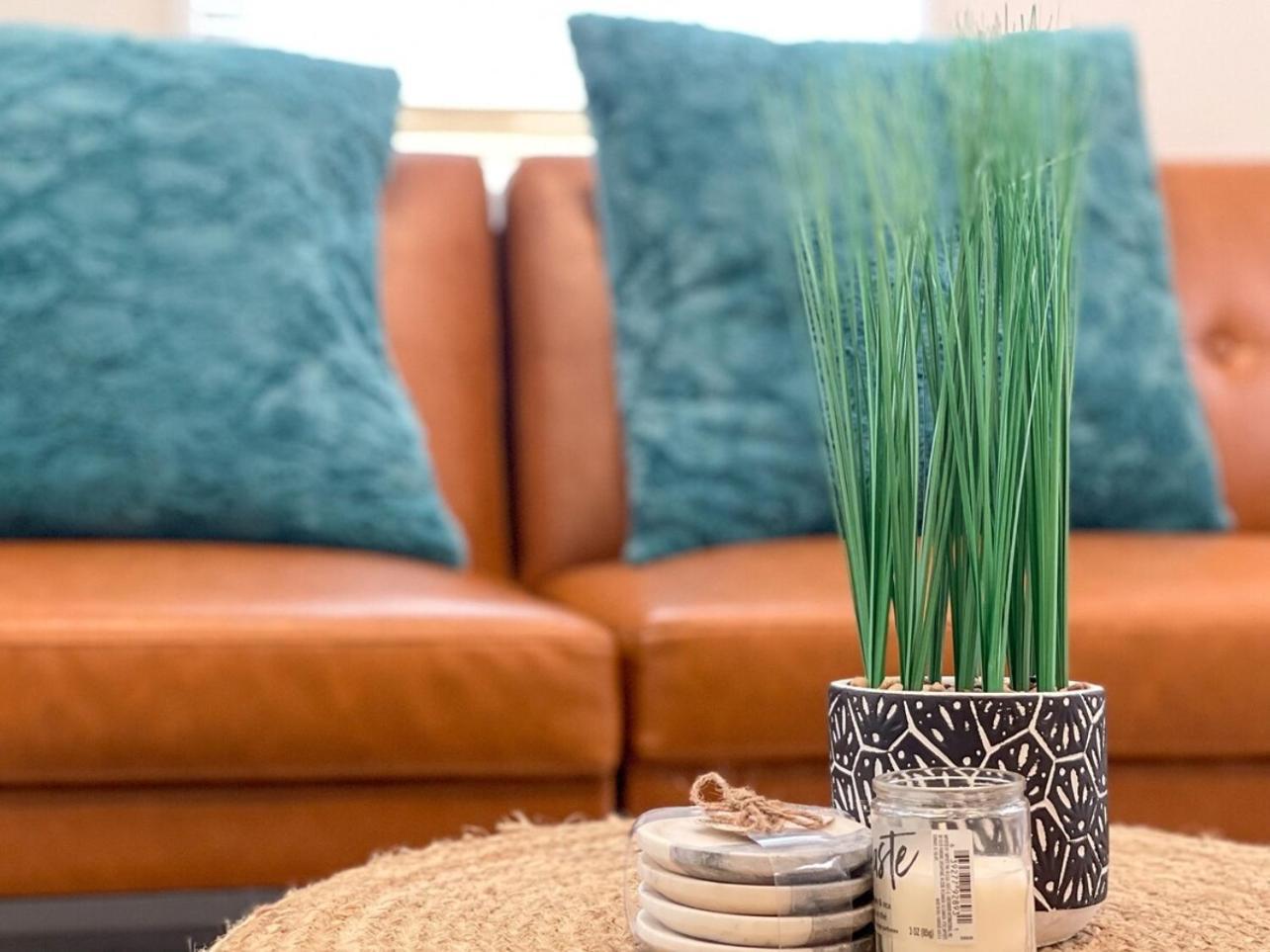 Homey Cozy Newly Renovated Stylish&Chic 7 Guests Tampa Exteriér fotografie